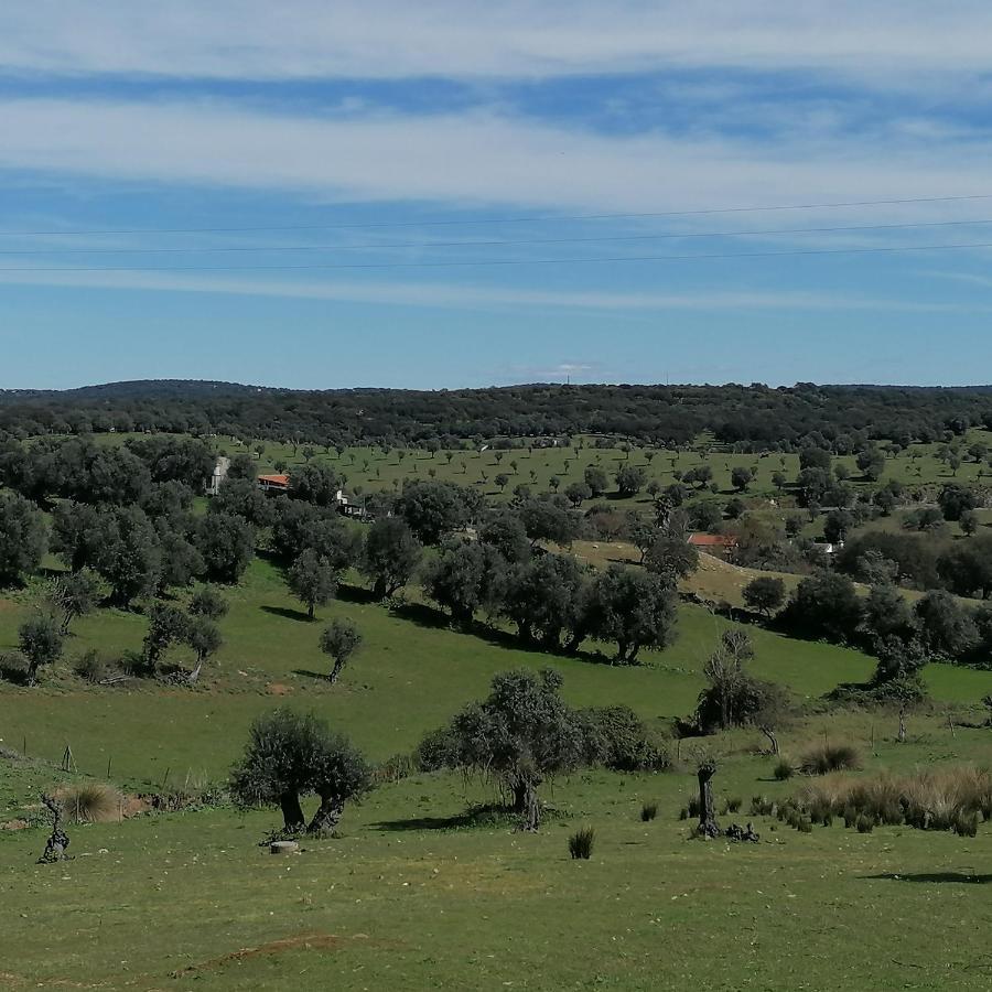 הוילה Cabeço de Vide Casa Do Cabeco - Termas Da Sulfurea מראה חיצוני תמונה